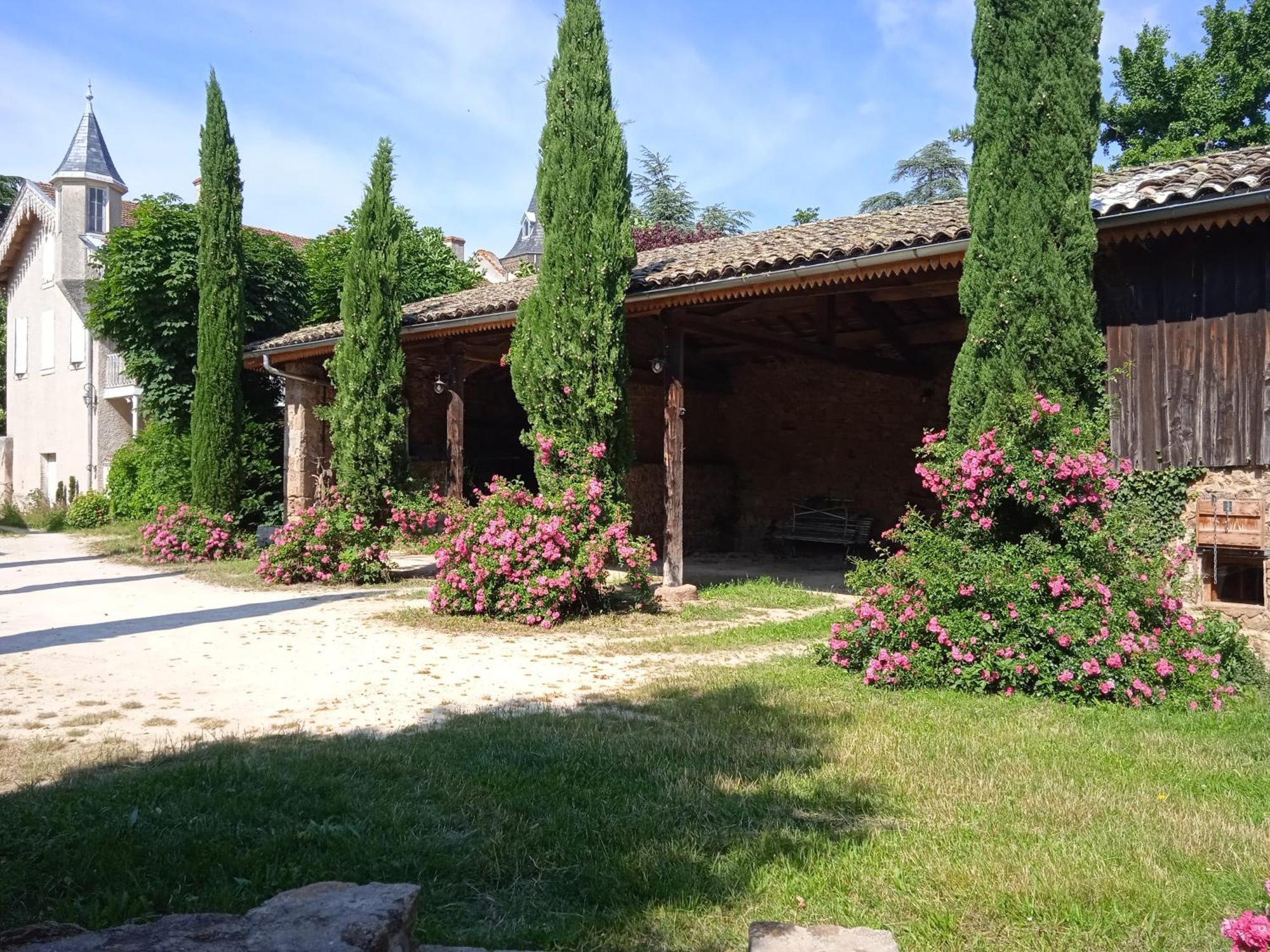 Maison Calme Avec Piscine Entouree De Son Parc Quintenas Dış mekan fotoğraf